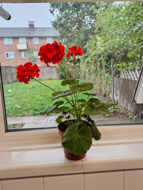 đą From graduation to first home! đĄđ